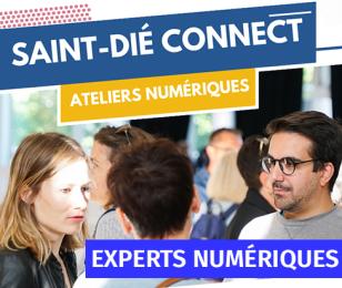 experts numériques